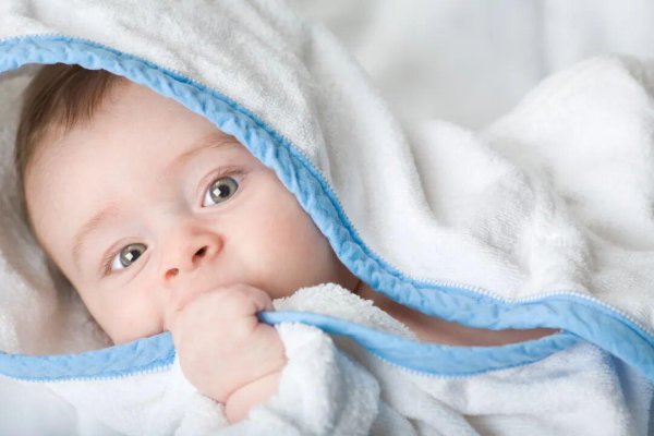 开云kaiyun登录入口登录APP下载当先尝试问出孩子咬东谈主的原因-开云kaiyun登录入口登录APP下载(中国)官方网站 IOS/Android通用版下载安装