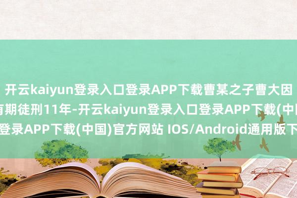 开云kaiyun登录入口登录APP下载曹某之子曹大因犯糊弄罪被法院判处有期徒刑11年-开云kaiyun登录入口登录APP下载(中国)官方网站 IOS/Android通用版下载安装