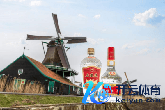 　五粮液“香”遇荷兰