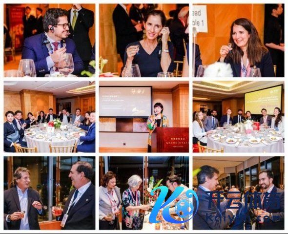 五粮液“和好意思全球行”跨国文化相易步履剪影