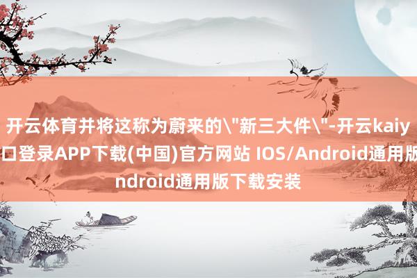 开云体育并将这称为蔚来的