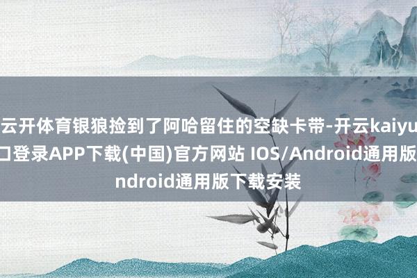 云开体育银狼捡到了阿哈留住的空缺卡带-开云kaiyun登录入口登录APP下载(中国)官方网站 IOS/Android通用版下载安装