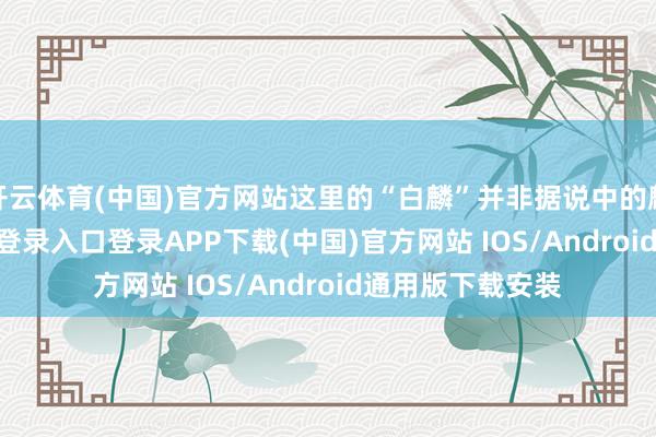 开云体育(中国)官方网站这里的“白麟”并非据说中的麒麟-开云kaiyun登录入口登录APP下载(中国)官方网站 IOS/Android通用版下载安装