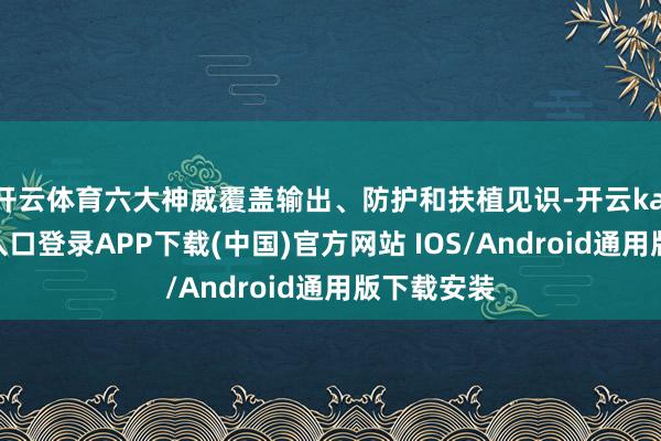 开云体育六大神威覆盖输出、防护和扶植见识-开云kaiyun登录入口登录APP下载(中国)官方网站 IOS/Android通用版下载安装